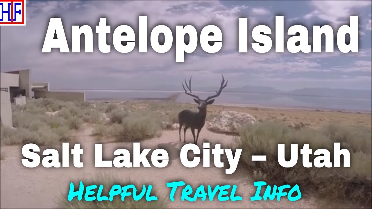 Antelope Island &ndash; Utah &ndash; Helpful Travel Information | Salt Lake City Travel Guide Episode#2