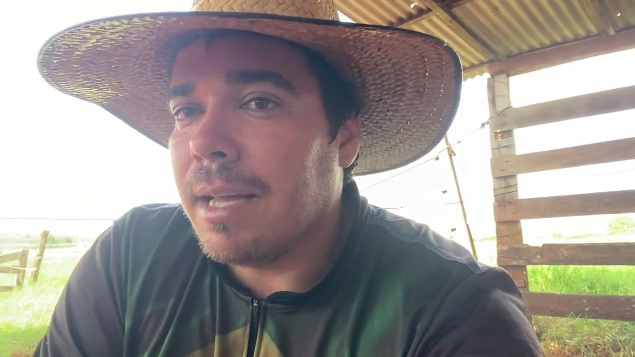 PRODUÇÃO DA ROÇA DE MANDIOCA DESSE ANO #agricultor #mandioca