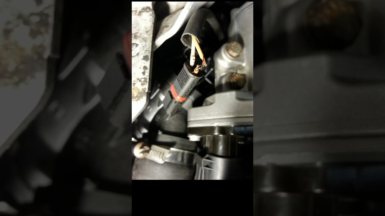 Bmw thermostat wire failure common on all bmw’s with N51, N52, N54, N55 engines