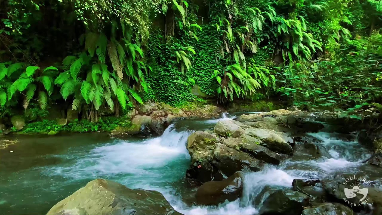 River Sounds for Sleeping. Waterfall Flowing Mountain Forest 24/7. Waterfall Sounds, White Noise #1