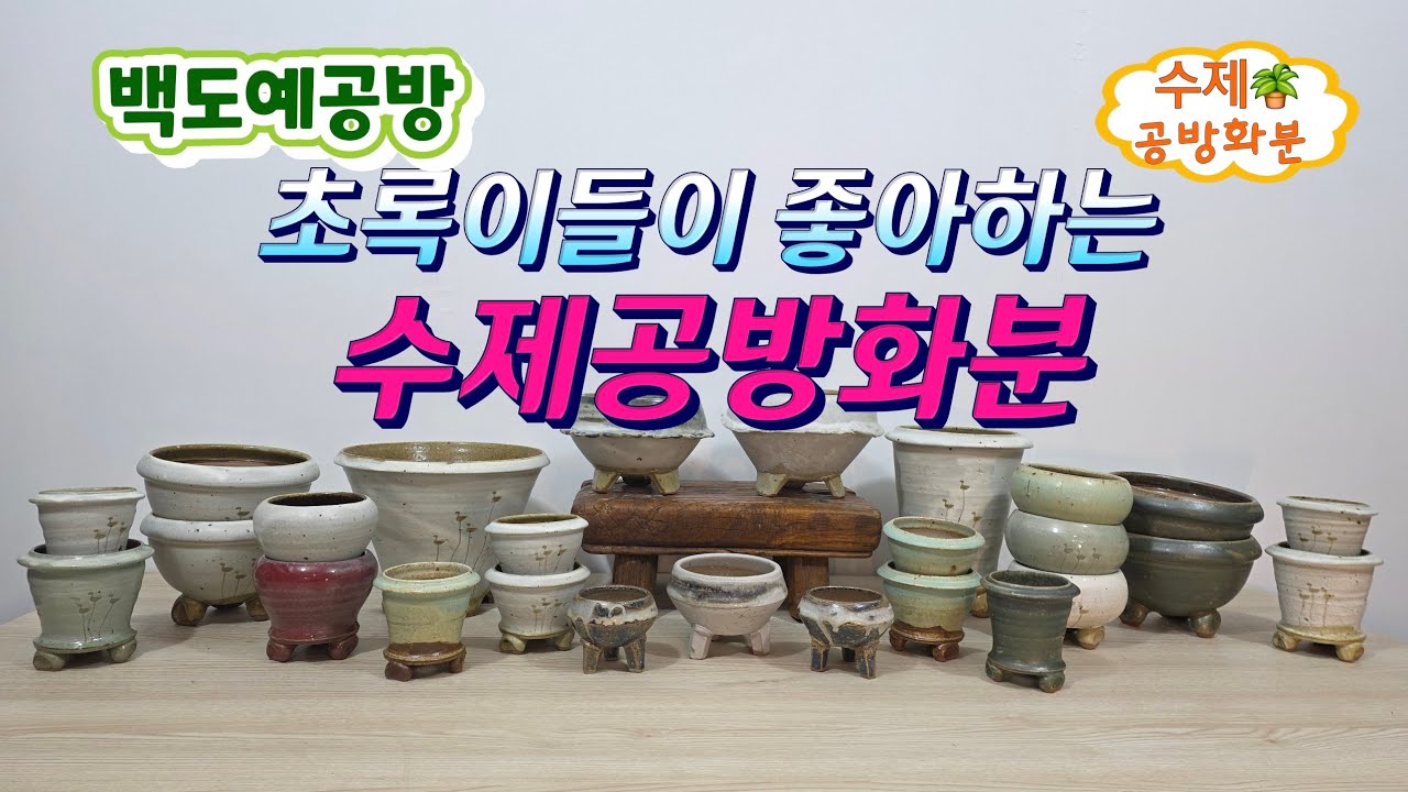 20268313(290회 영상)손으로 빚은 따끈한 오늘의 수제화분🪴🤗#수제화분#공방화분 #야생화화분#다육화분#아프리카식물 #고급화분#명품화분#분갈이화분#식재 #솟대화분#분청화분 