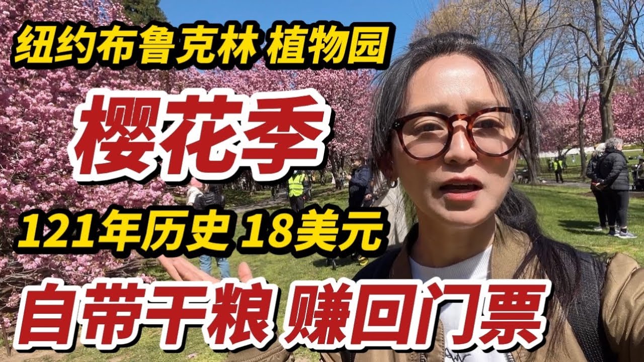 纽约布鲁克林植物园，樱花季，门票18刀，自带干粮，赚回本钱