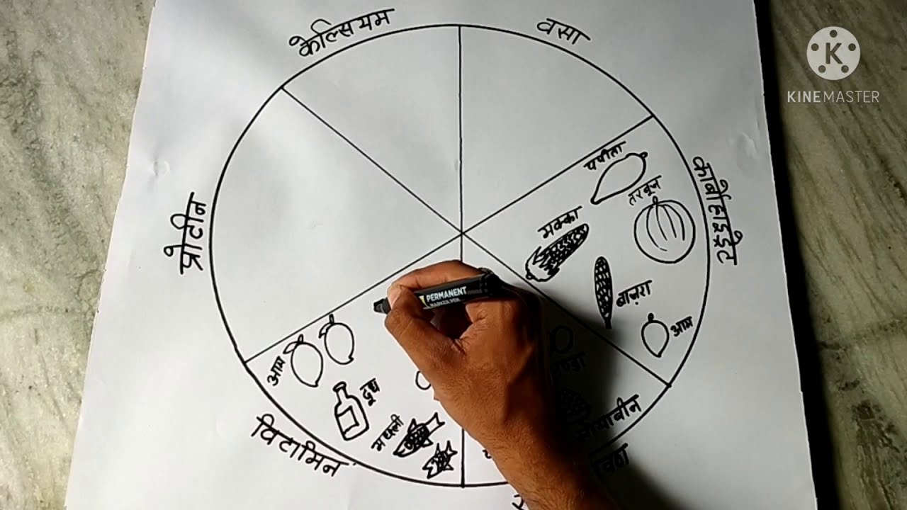 संतुलित भोजन का चार्ट  Drawing कैसे बनाये | How to draw a chart of balanced diet