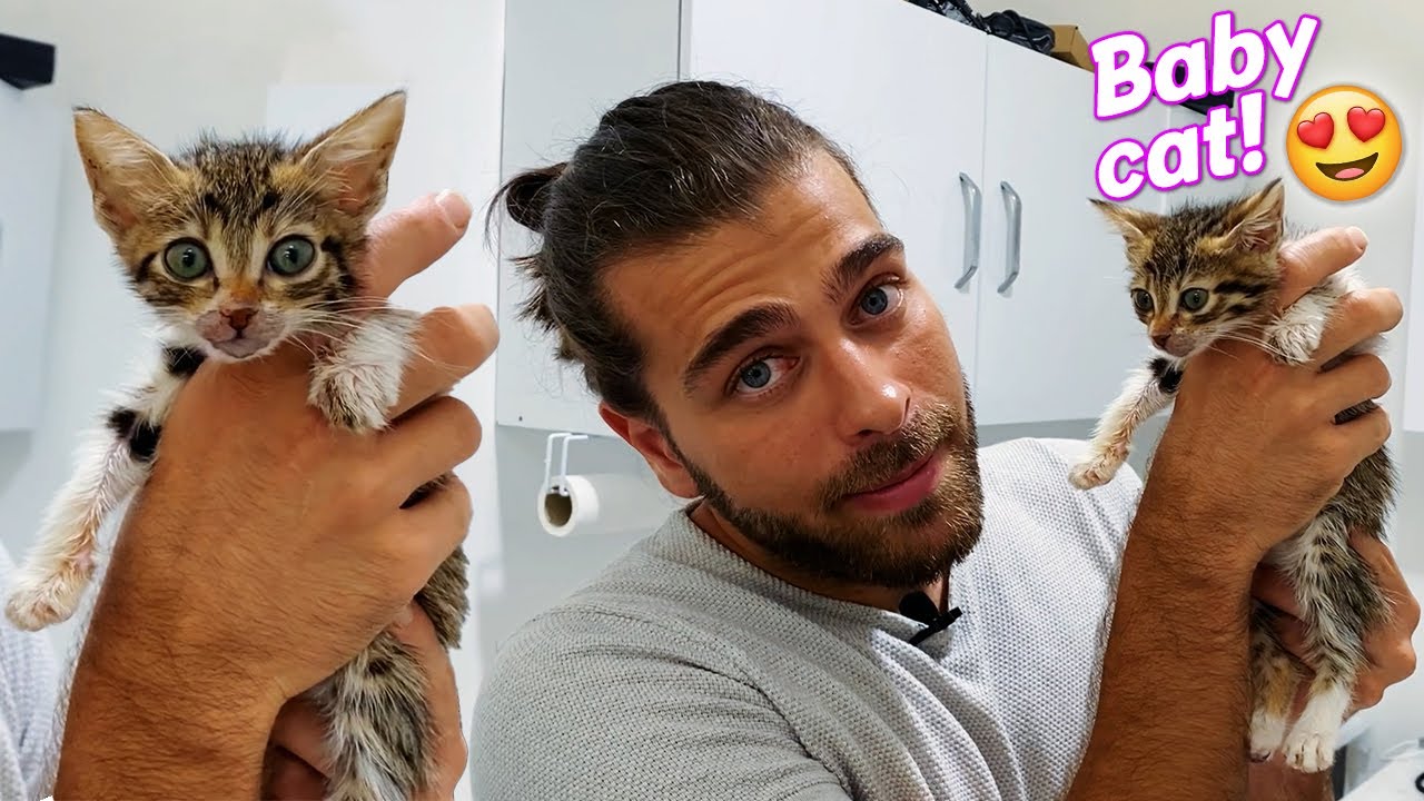 3-х месячный котенок очень гурманский! 😍