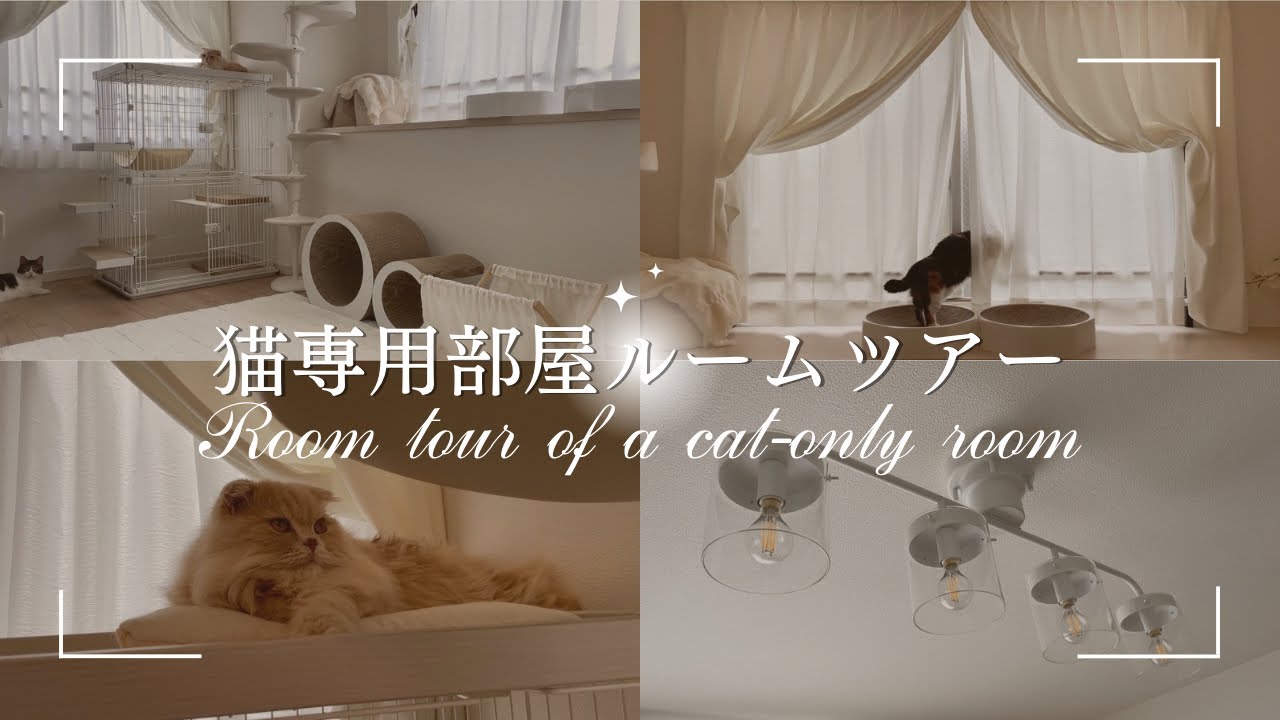 【ルームツアー】6.5畳の猫専用部屋を紹介します｜猫3匹と暮らす3LDK中古マンション