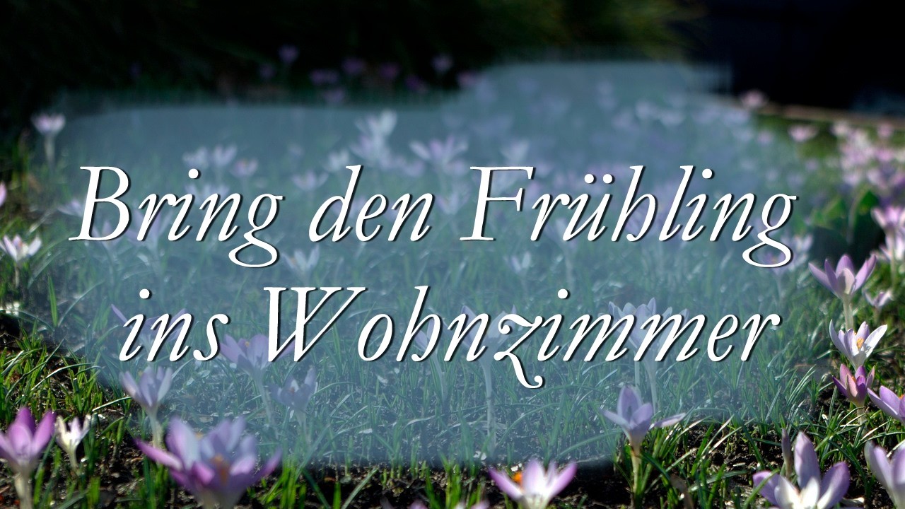 Frühling im Wohnzimmer / Inspiration / Frühling / DIY / Frühlingsdekoration