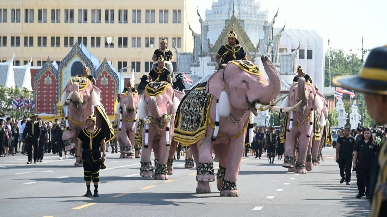 Pink elephants march for Thailand's late queen mother | AFP