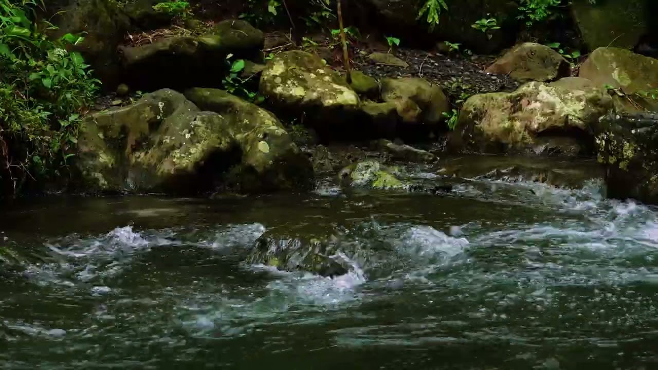 Calming Forest Stream Sound, Escape Stress, Pure Relaxation