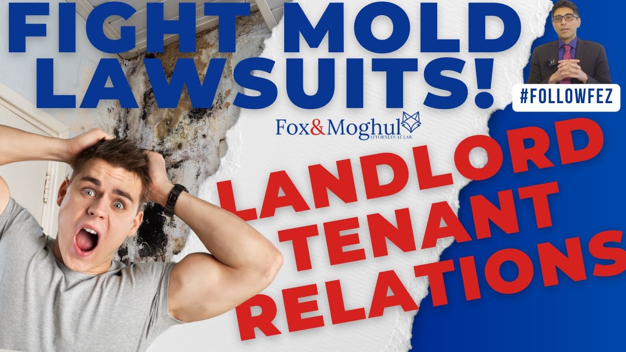 How to Handle Mold In Your Apartment – Landlord-Tenant Law