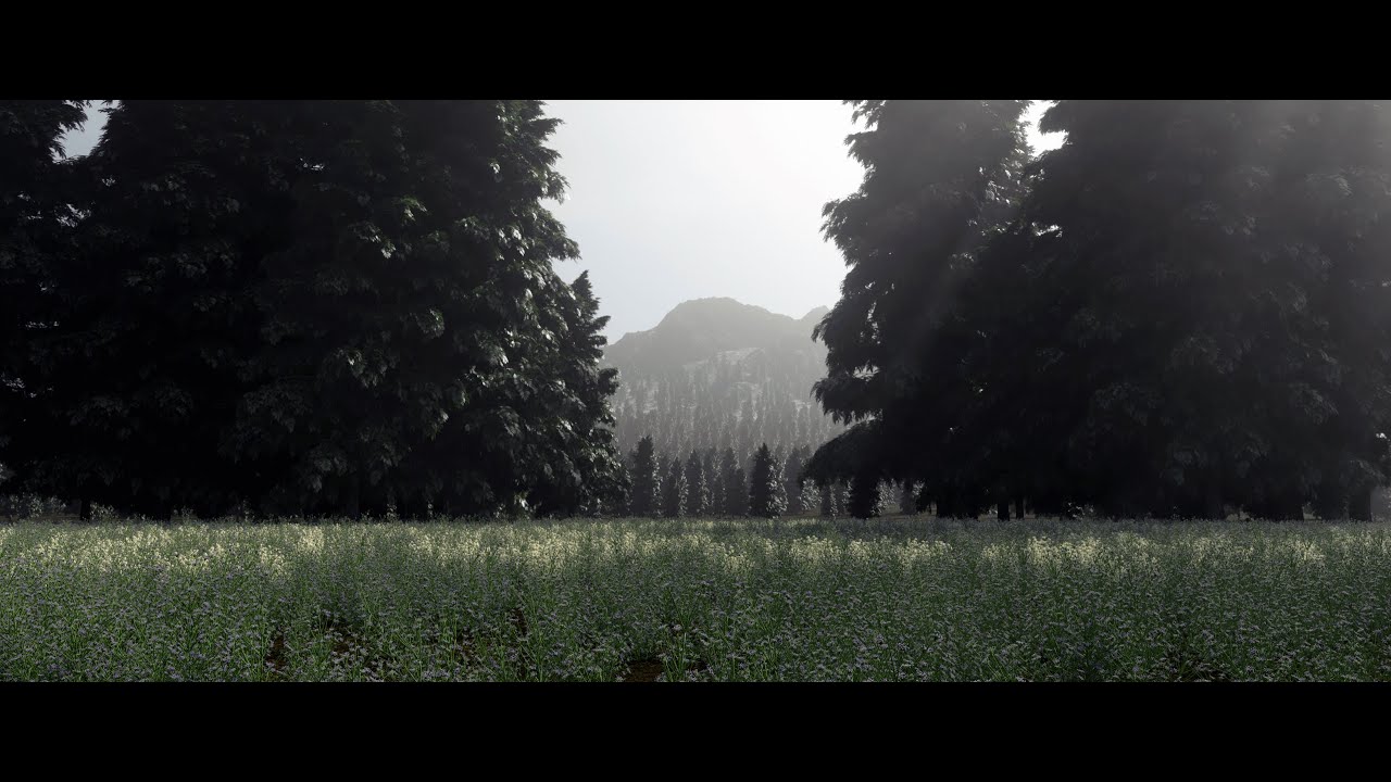 Gaea Timelapse: Mt  Reflection