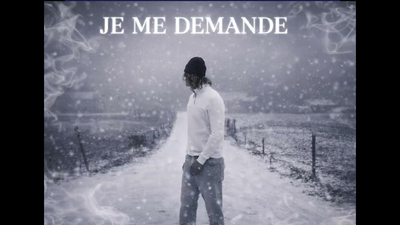 La braque - je me demande 