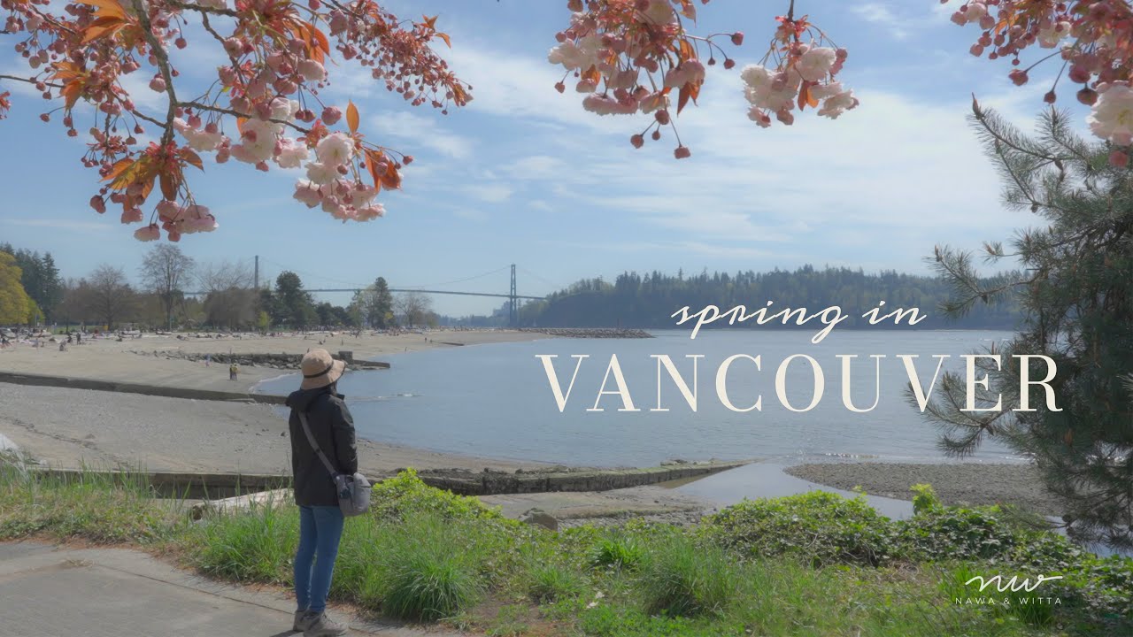 Wandering Through Vancouver in Spring 🌸 Cherry Blossoms & Wildlife Moments 🐳🦦