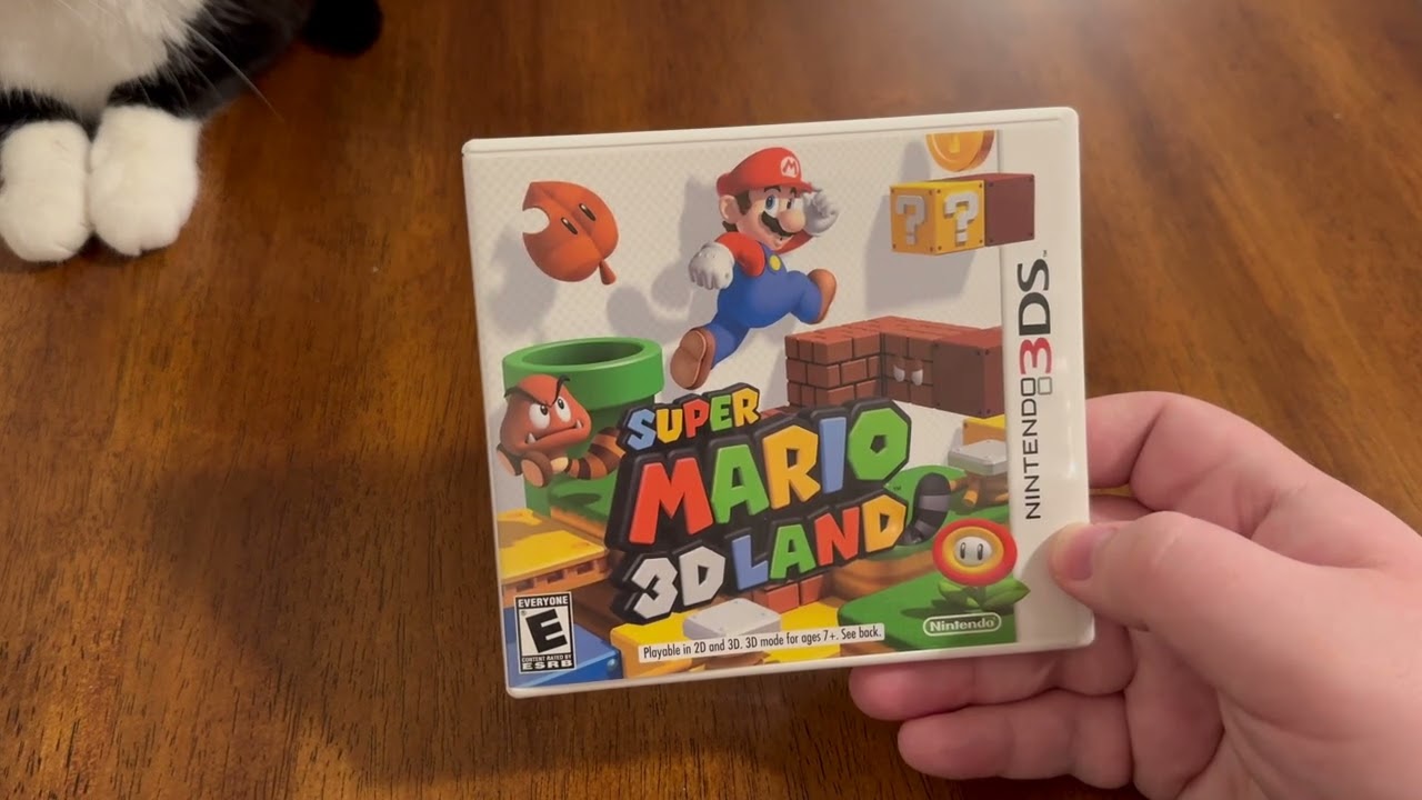 Super Mario 3D Land Reflections