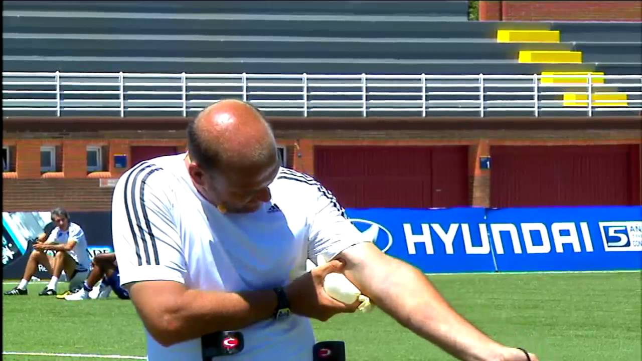 La avispa que pica a Valcárcel en Cracks