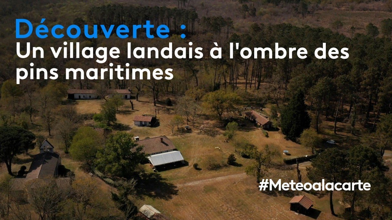 Découverte : un village landais à l'ombre des pins maritimes
