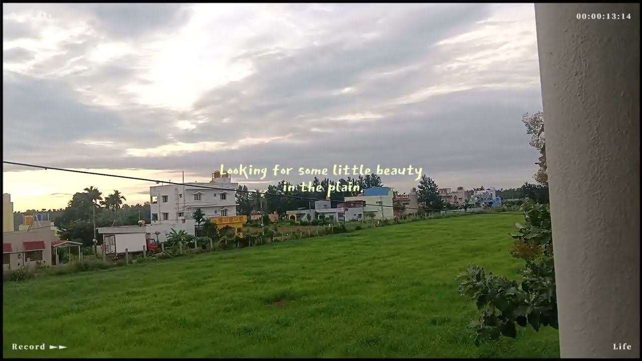 Nature of the Beauty  Hesaraghtta | Hesaraghatta Lake | Grassland | Farms | Bamboo | Bangalore