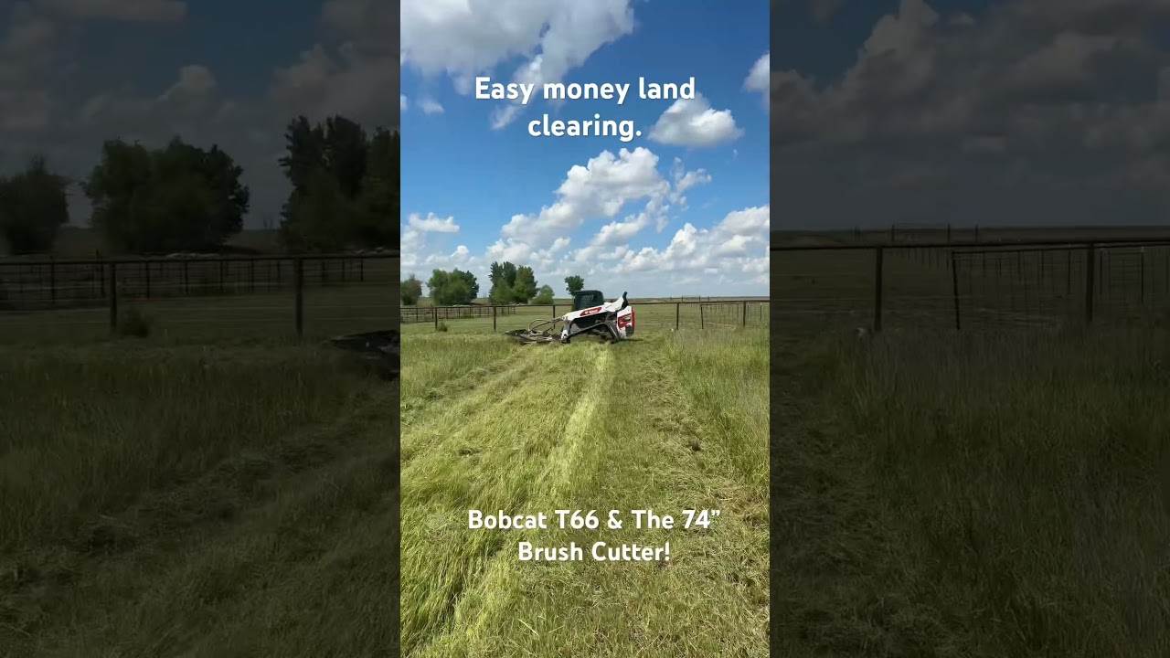 land clearing job with the Bobcat T66 and 74” brush cutter! 