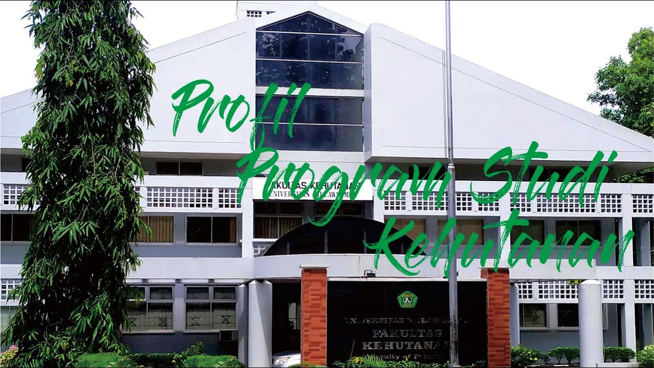 Profil Program Studi Kehutanan Universitas Mulawarman | Lomba Video Promosi Prodi Unmul 2020
