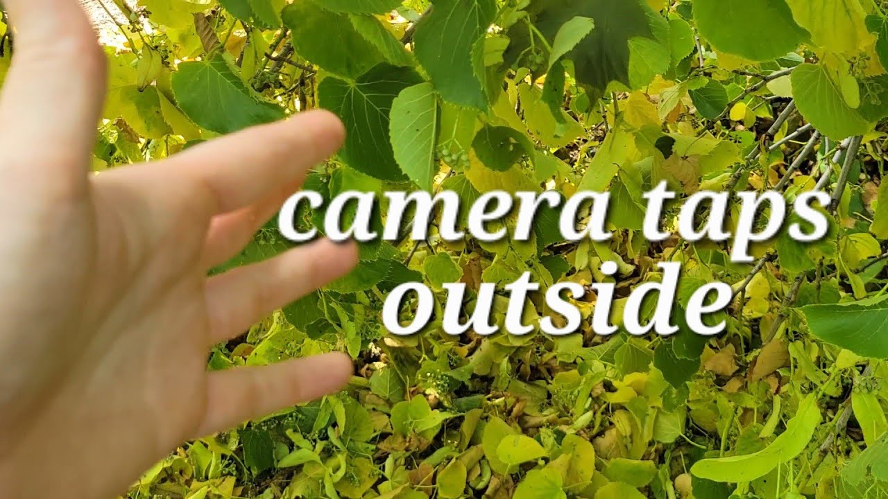 ASMR outside with lots of camera taps ✨️ some whispers