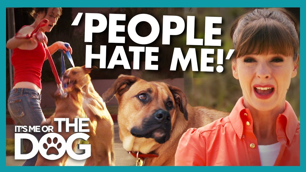 Owner's Super Reactive Dogs are Making Other People HATE Her! | It's Me or The Dog