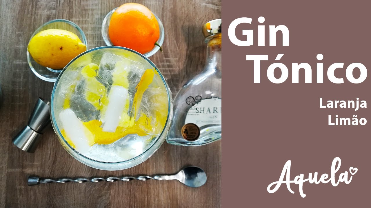 Gin Tónico laranja limão