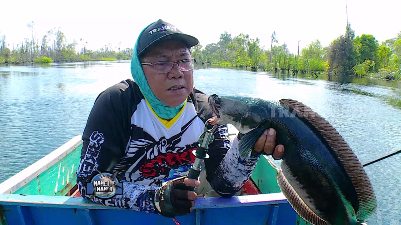 MANCING MANIA - PESTA TOMAN DI BERBAK (9/7/17) 3-1
