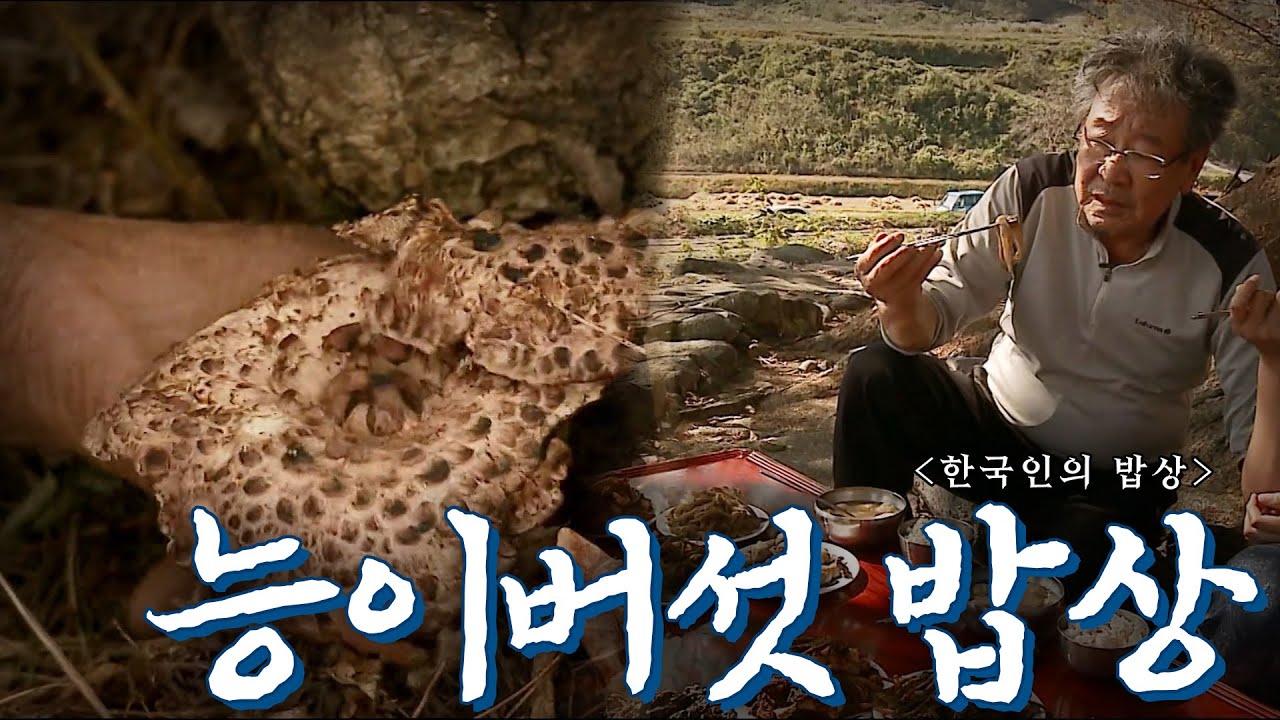 섬진강의 습기와 기온 차로 향기 더 깊은 곡성 '능이버섯 밥상', Korean Food｜최불암의 한국인의밥상🍚 KBS 20121101