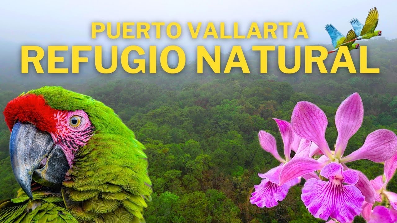El Santuario de las Guacamayas y el Jardín Botánico de Vallarta - Jalisco.