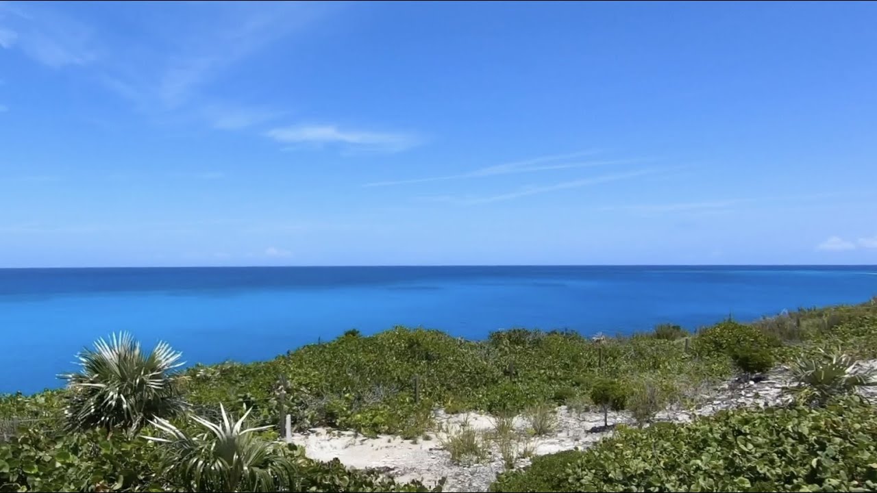 EXPLORING remote corners of The Bahamas (diving Dean's Blue Hole) | log 31