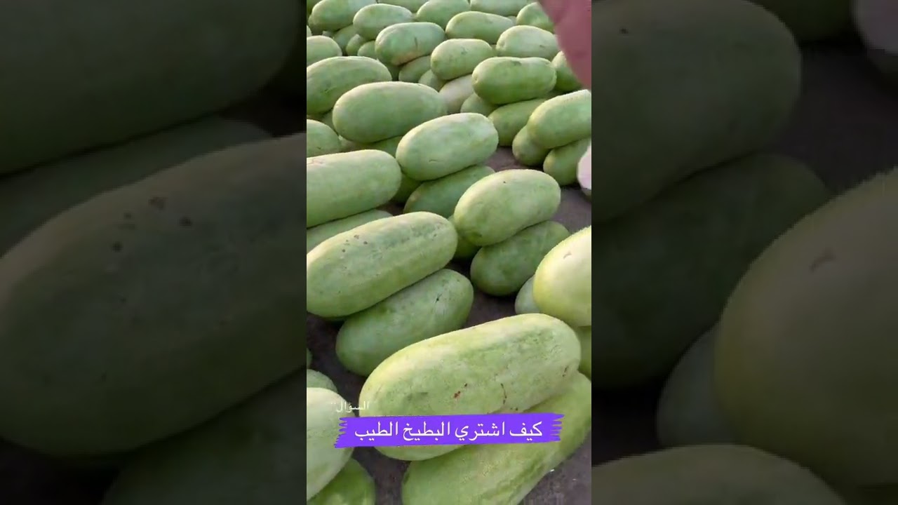 تقرير سلمان - من اعظم الاسواق بالعالم ٢٠٢٢ #جح_القصيم