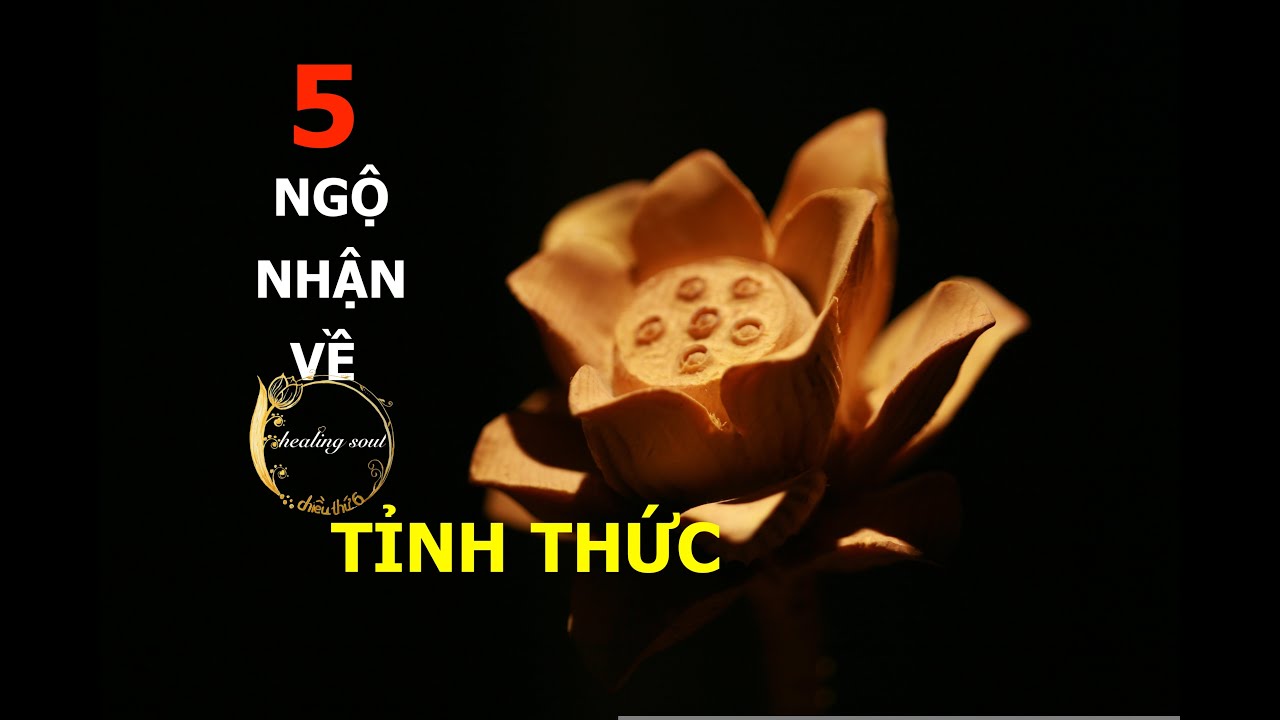 5 ĐIỀU NGỘ NHẬN VỀ TỈNH THỨC || CHIỀU THỨ 6