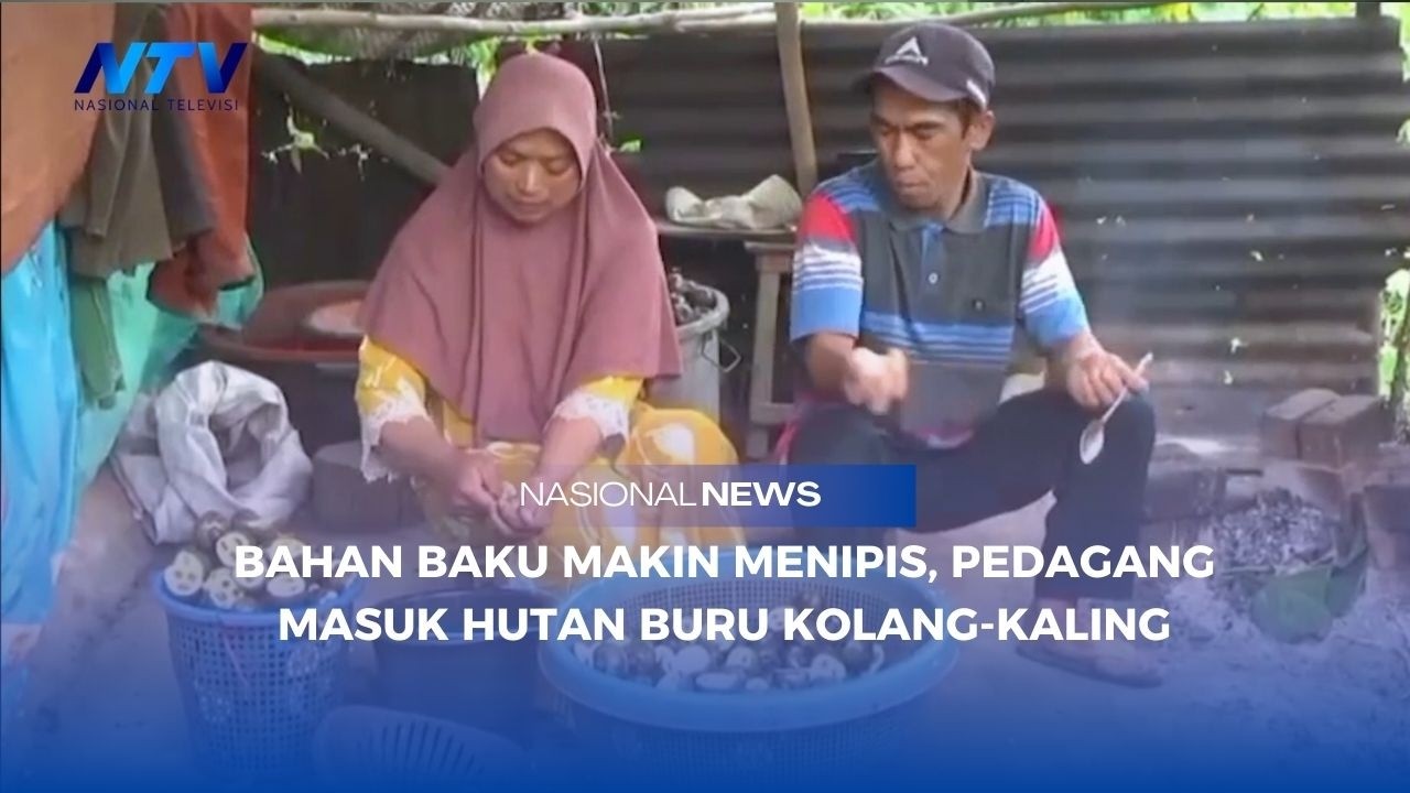 BAHAN BAKU MAKIN MENIPIS, PEDAGANG MASUK HUTAN BURU KOLANG KALING