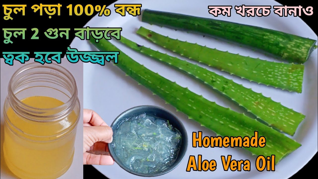 এলোভেরা অয়েল - Aloe Vera Oil - চুল হবে ঘন কালো লম্বা সিল্কি - চুল পড়া বন্ধ হবে - Homemade Hair Oil