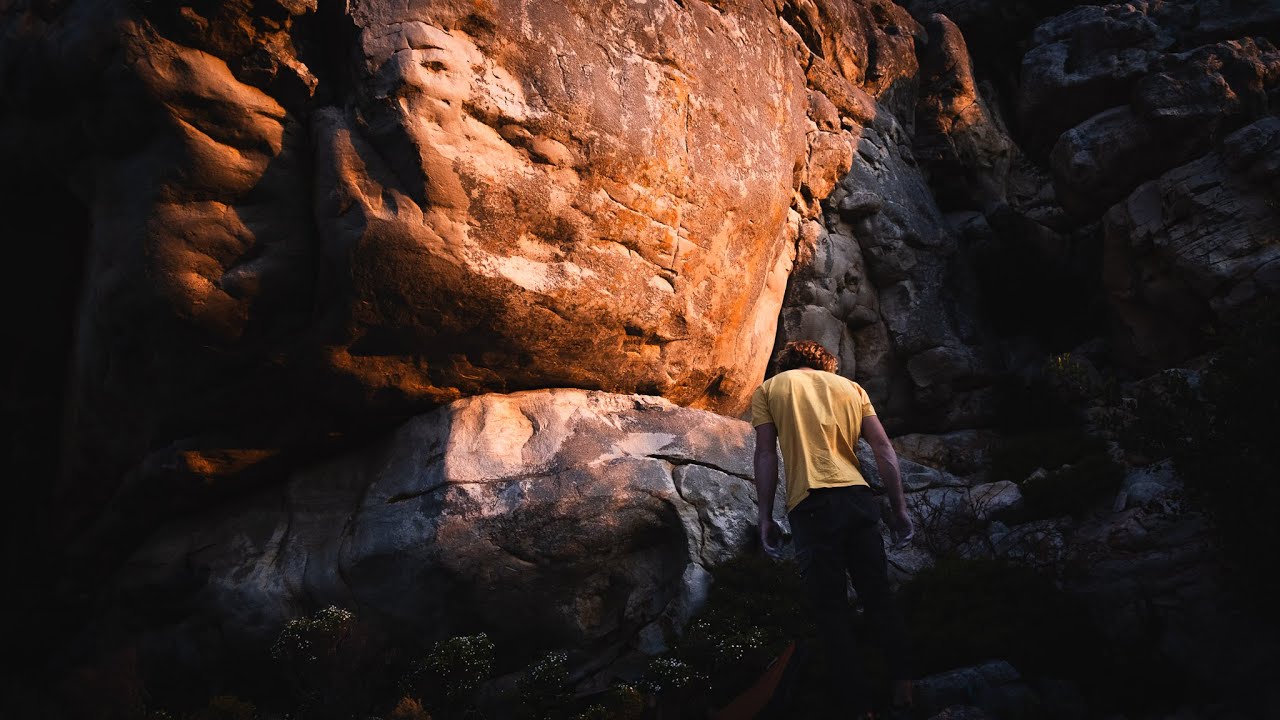 Zeus - The best dyno in Cape Town??