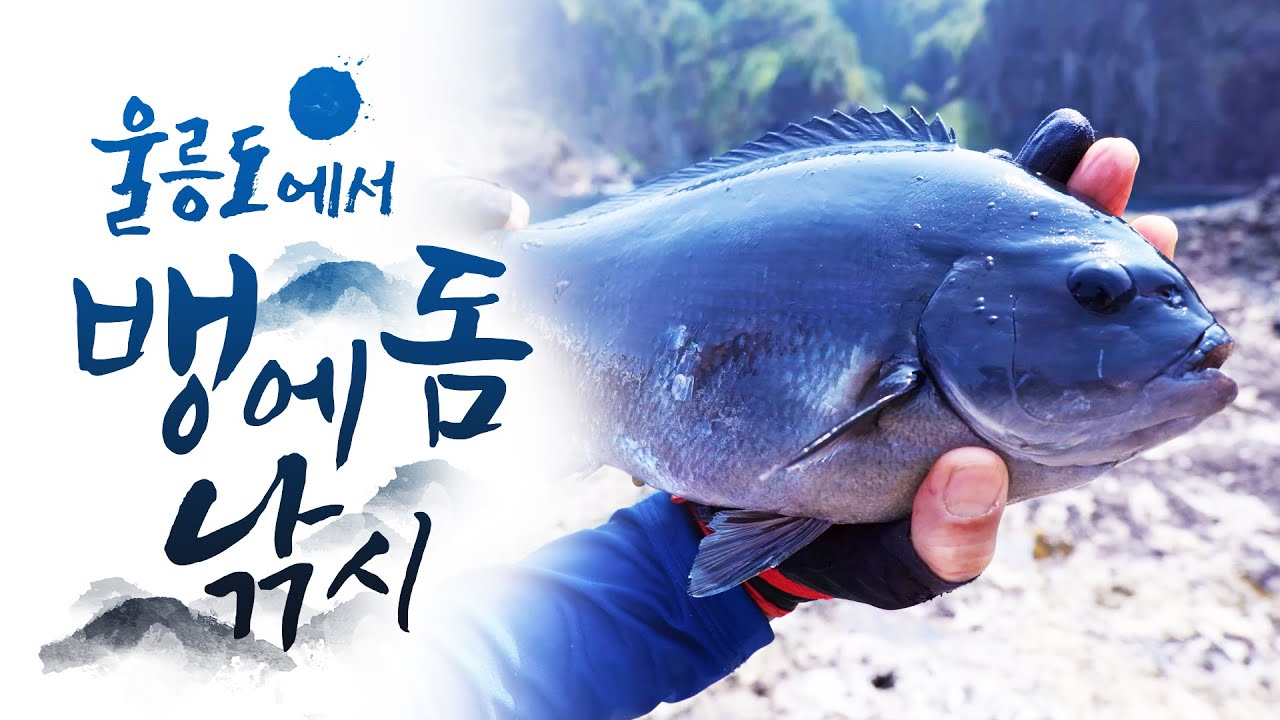 낚시인들의 꿈의 무대 울릉도에서 벵에돔 낚시를!! 상상만해도 행복합니다. 환상적인 풍광에서 낚시를 ㅎㅎ #뱅에돔 #낚시 #울릉도 #독도 #긴꼬리벵에돔