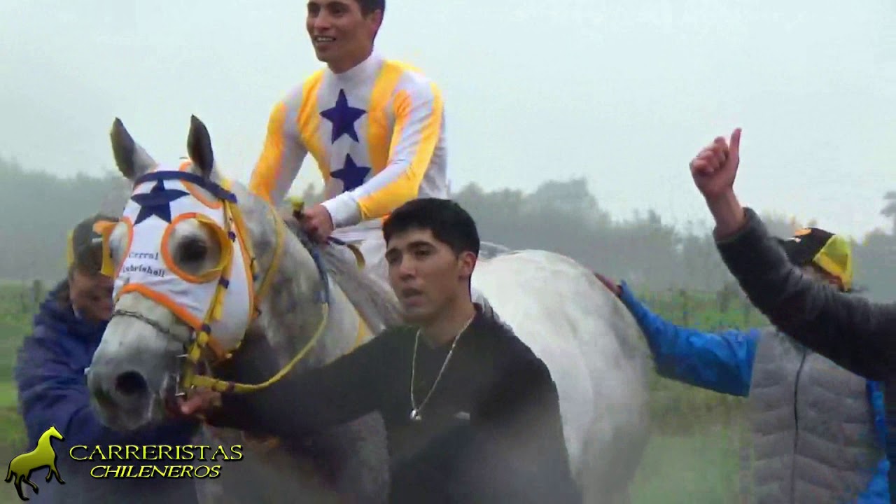 CASABLANCA v/s AVALANCHA /hipico haras tajani