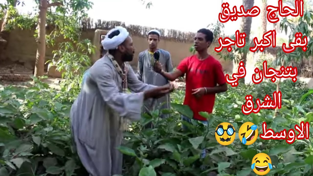 الحاج صديق نام وصحي لقى نفسه اكبر تاجر بتنجان في الشرق الاوسط ضحك بلا نهايه😂#لايك_اشتراك_بالقناه 