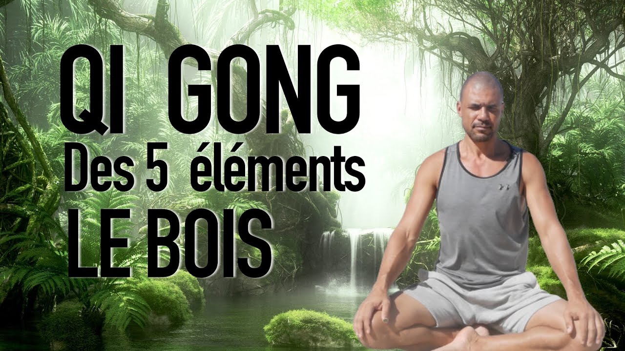 QI GONG des  5 éléments : le Bois