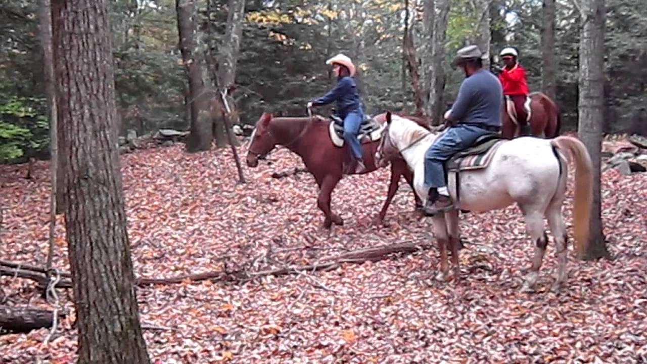 Ashokan Riding Club P & R