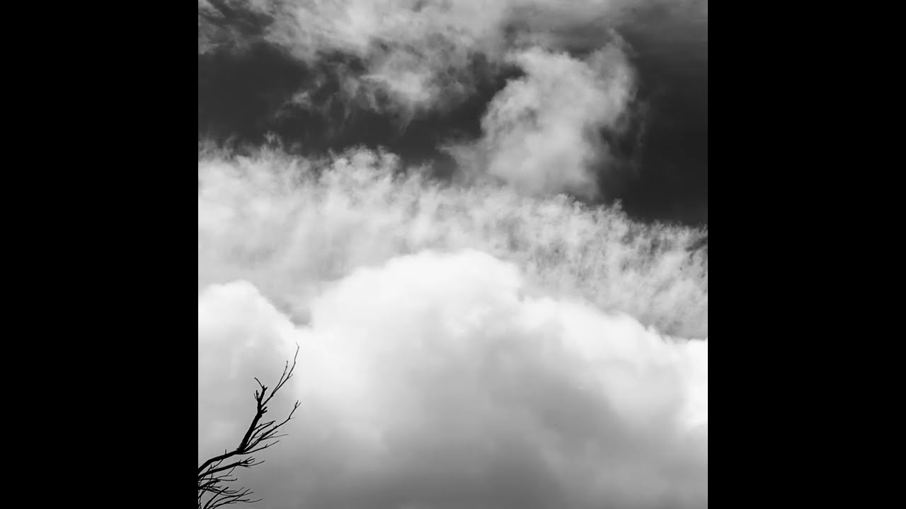 SENTINEL  |  Emily Sanzaro