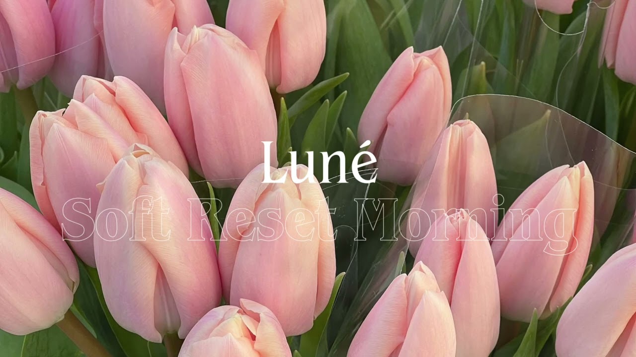 Luné – Soft Reset Morning