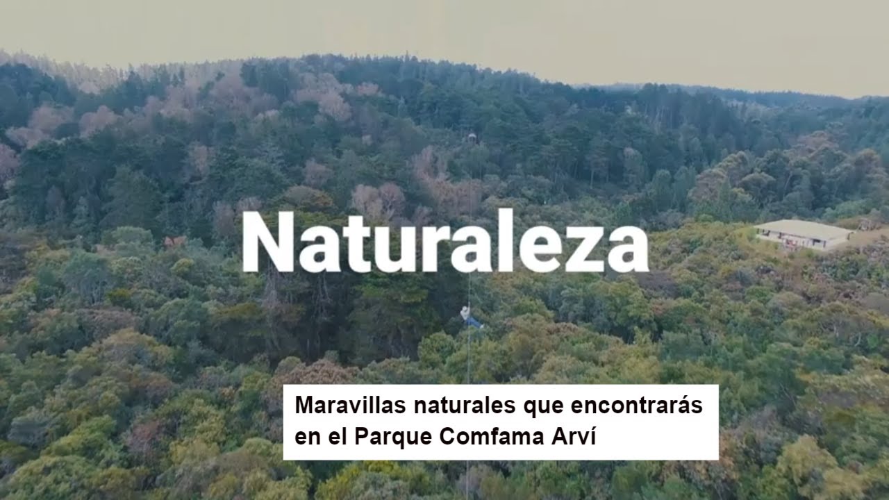 &iquest;C&oacute;mo es el Parque Comfama Arv&iacute;?