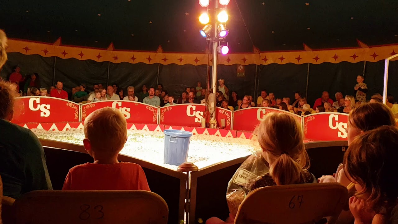 Circus Oberau Clown