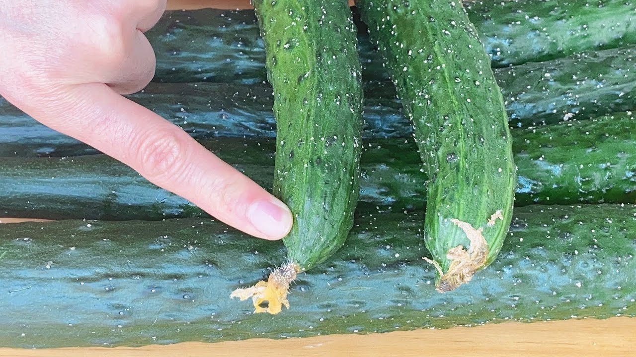 黄瓜打没打激素？看一眼这就知道了，老菜农教我一招，别再买错了。【丽丽厨房 Queen Kitchen】、