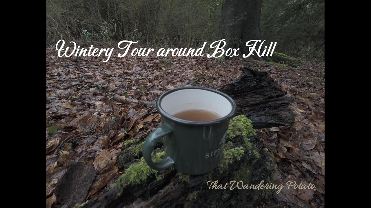 Hike & tea in Surrey