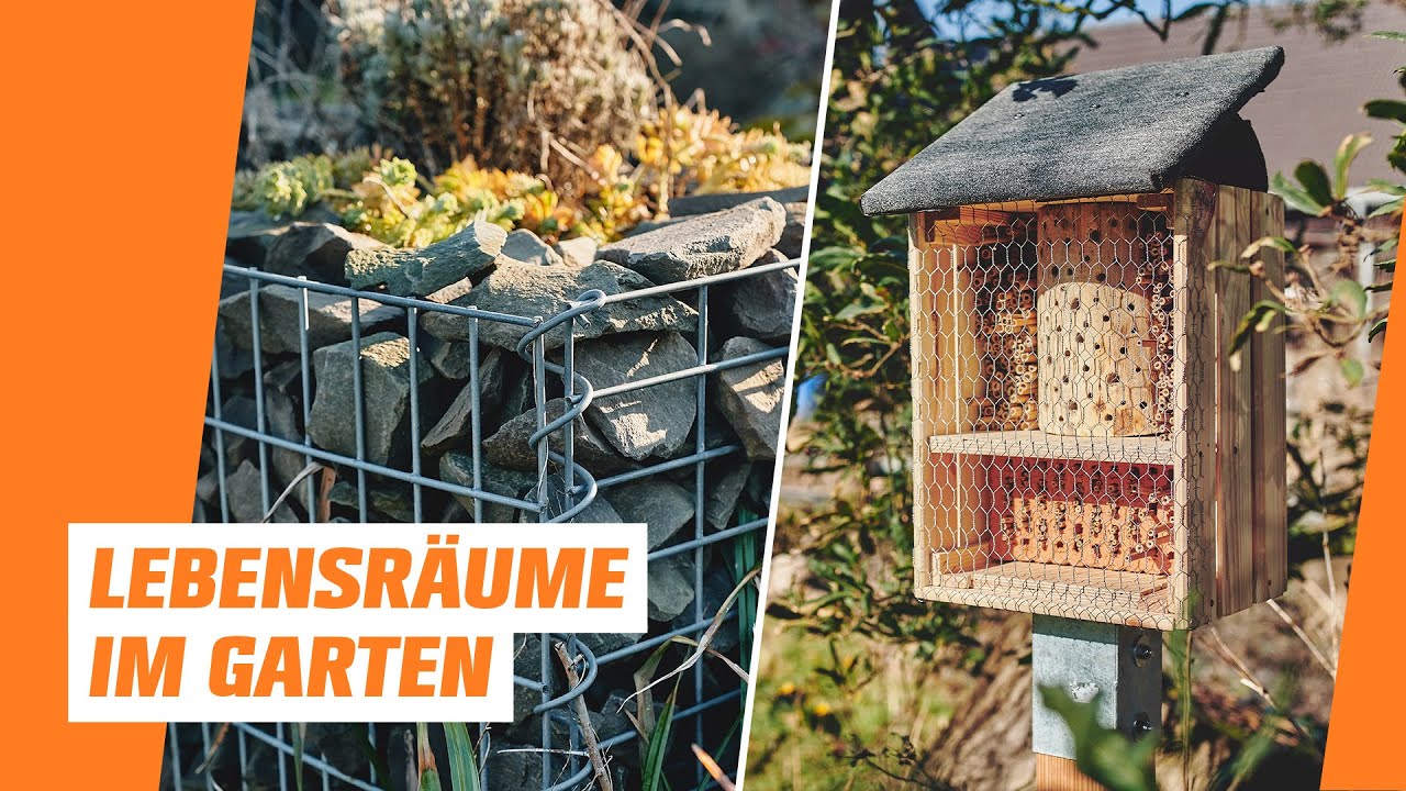 Insect-friendly garden | OBI | Natural garden - Episode 4