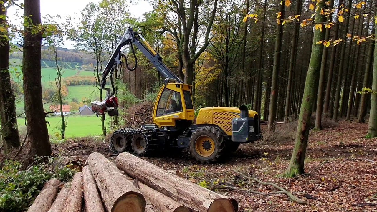 WFW Ecolog 580 Harvester &bull; Ponsse Ergo & Buffalo Dual &bull; K&auml;ferholz