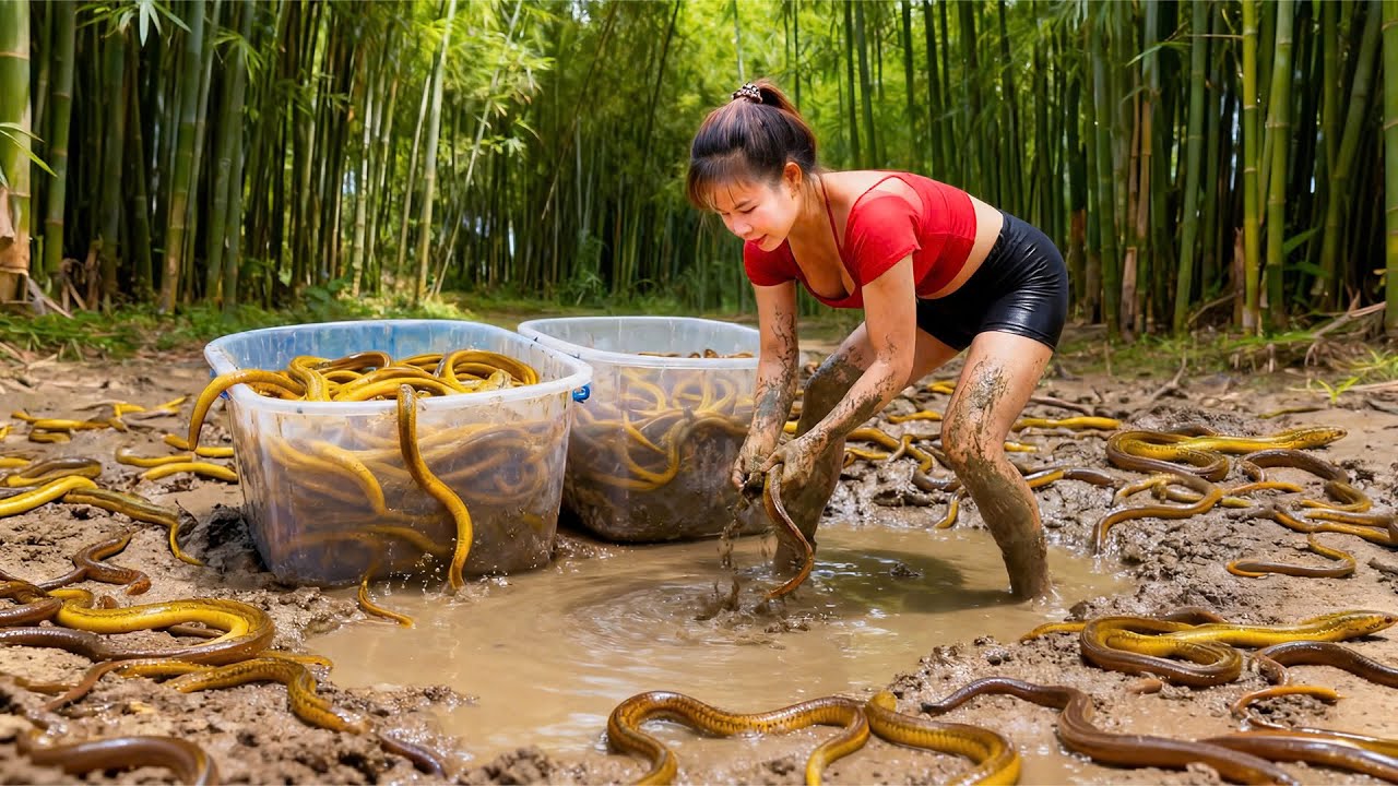 Strong Horse Pulling Half Ton of Eels By Massive Cart To Sell | Tiểu Ca Daily Life