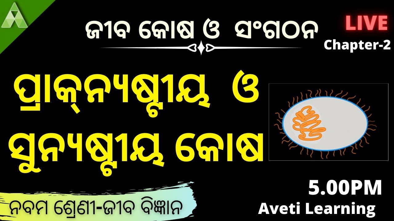 ପ୍ରାକ୍‍ନ୍ୟଷ୍ଟୀୟ  ଓ  ସୁନ୍ୟଷ୍ଟୀୟ କୋଷ|Class-9 Biology|Chapeer-2|Aveti Learning