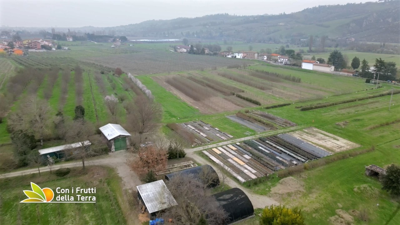 A Imola in visita al vivaio forestale pubblico regionale - 1° parte